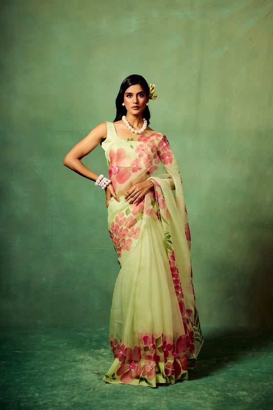 Pista Saree